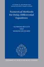 Numerical Methods for Delay Differential Equations