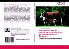 Consecuencias de decisiones estratégicas en la ganadería en Uruguay.Un abordaje con sistemas multiagentes
