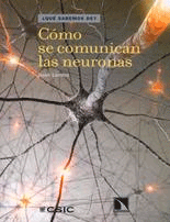 Cómo funcionan las neuronas