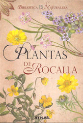 Plantas de Rocalla.