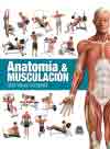 Anatomía y musculación