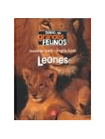 Diario de grandes felinos: leones