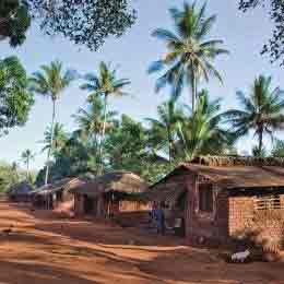 Healthy Homes in Tropical Zones: A Plea for Improving Rural Domestic Building in Asia and Africa