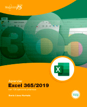 Aprender Excel 365/2019 con 100 ejercicios prácticos