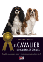 El cavalier King Charles
