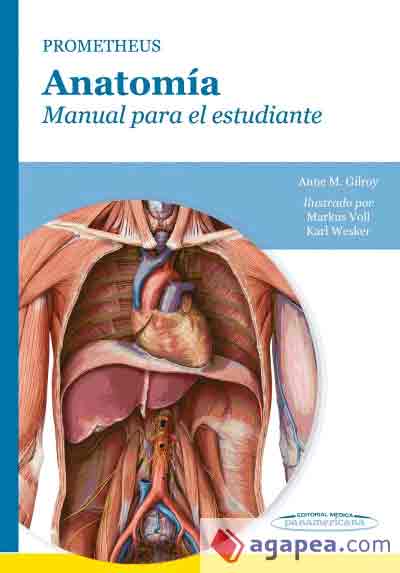 Anatomía. Manual para el estudiante