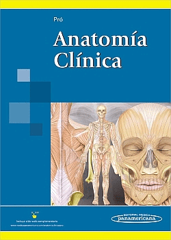 anatomía clínica