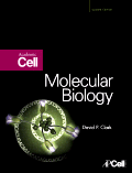 Enzyme Kinetics: Catalysis & Control, , biología