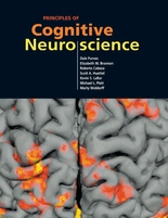 Principles of Cognitive Neuroscience, , neurociencia