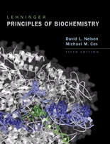 Lehninger Principles of biochemistry, , bioquímica