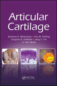 Articular Cartilage, , biología | biotecnología