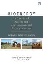 Bioenergy for Sustainable Development and International Competitiveness, , agricultura