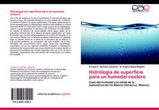 Hidrología de superficie para un humedal costero. Caso del humedal a la salida de la subcuenca del río Blanco (Veracruz, México), , biología | ciencias naturales