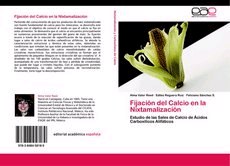 Fijación del Calcio en la Nixtamalización., , ciencias naturales