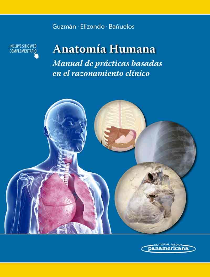 Anatomía Humana, , medicina | anatomía