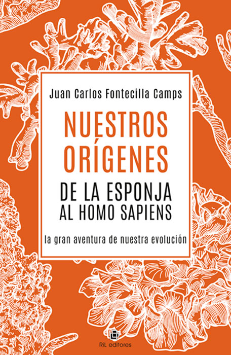 Nuestros OrÍgenes De La Esponja Al Homo Sapiens, , biología | divulgación científica | genética | evolución