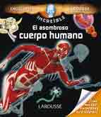 El asombroso cuerpo humano, Noaut, anatomía
