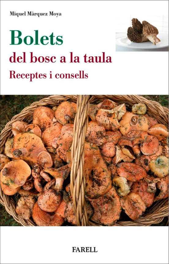 Bolets del bosc a la Taula, , botánica