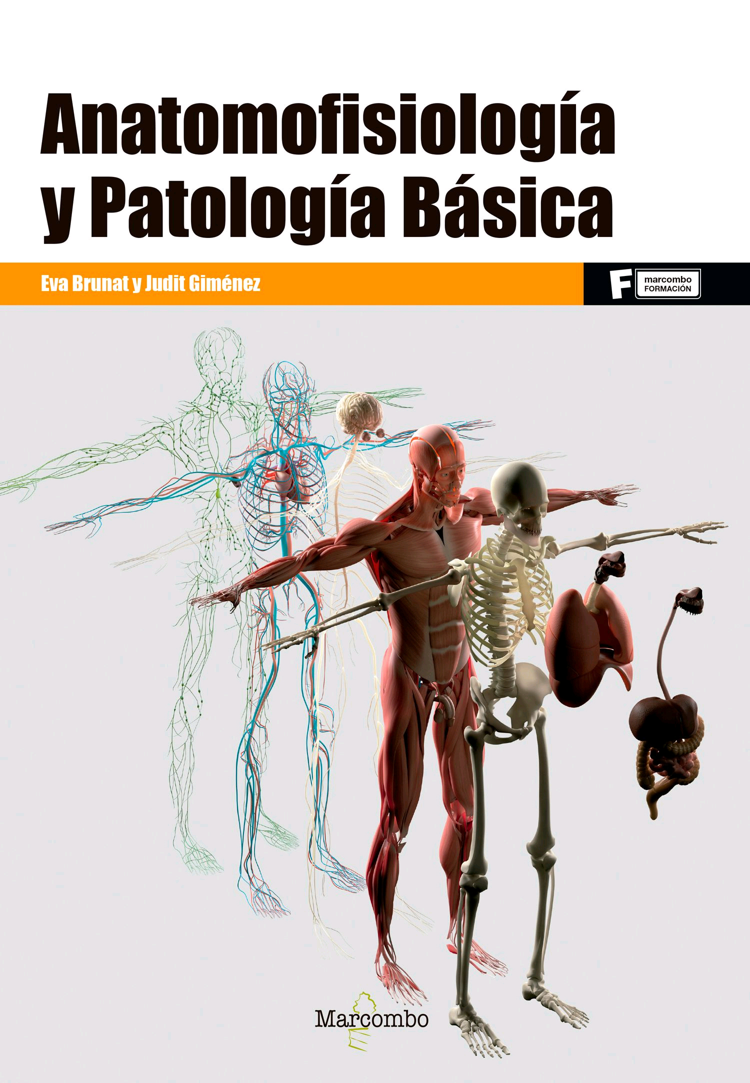 Anatomofisiología y Patología Básica, , anatomía