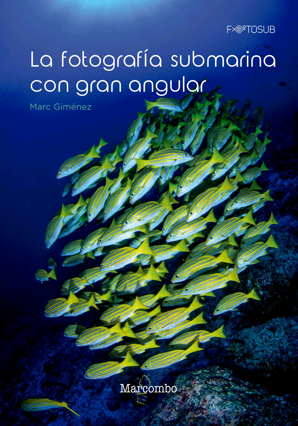 La fotografía submarina con gran angular, , informática | zoología | fotografía