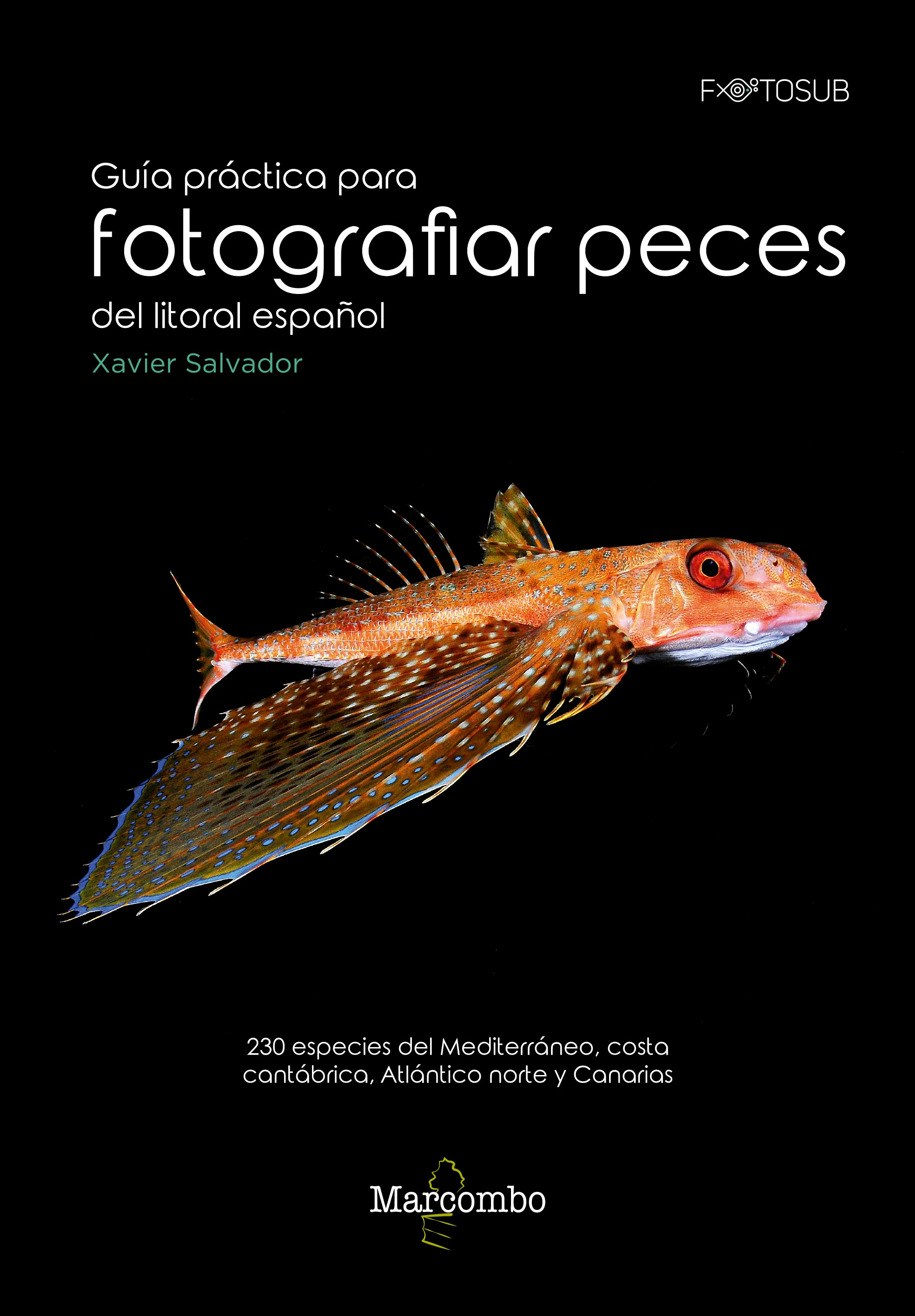 Guía práctica para fotografías peces del litoral español de vv.aa, 9788426726315, INFORMÁTICA | ZOOLOGÍA | ARTE, informática | zoología | fotografía, Marcombo, SA, Español