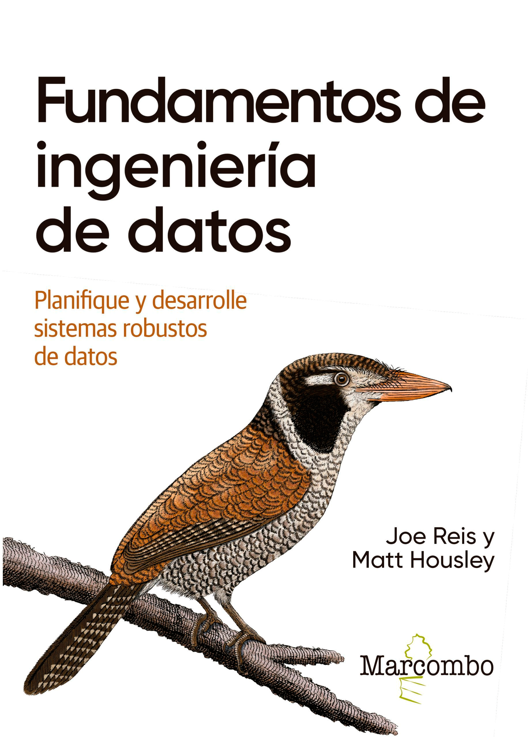 Fundamentos de ingeniería de datos, , informática | ingeniería