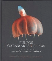 Pulpos, calamares y sepias, , zoología