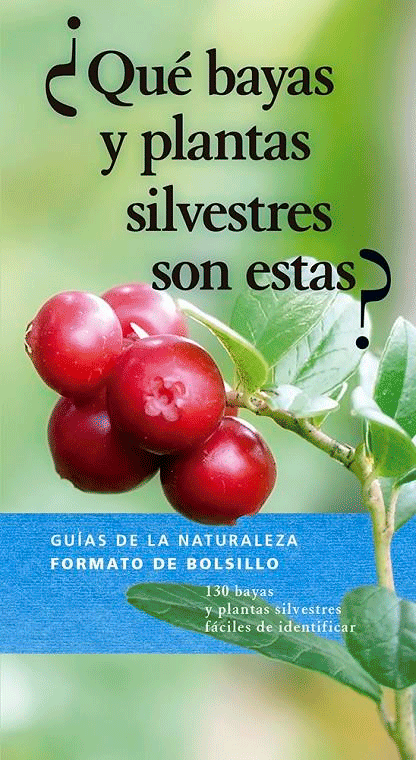 ¿Qué bayas y plantas silvestres son estas?, , botánica