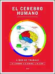 El cerebro humano. Libro de trabajo, , medicina