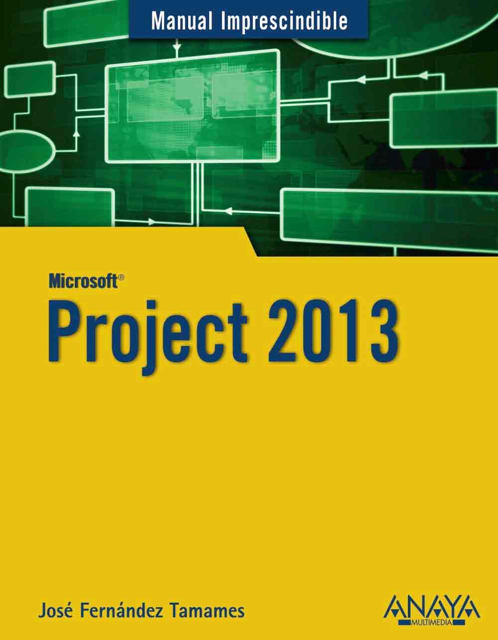Project 2013, , informática