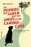 De perros que saben que sus amos están camino de casa, , etología