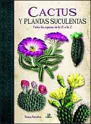 Cactus y plantas suculentas, , jardinería