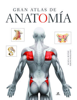 Gran Atlas de Anatomía, , anatomía