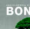 Enciclopedia Visual del Bonsái, , botánica