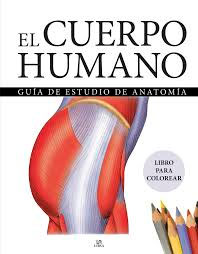 El cuerpo humano, , medicina | salud