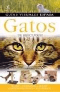 Gatos, , zootecnia