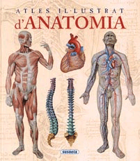 Atles il·lustrat d’Anatomia., , atlas | anatomía