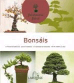Bonsais, Noaut, botánica | jardinería