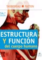 Estructura y función del cuerpo humano, , anatomía