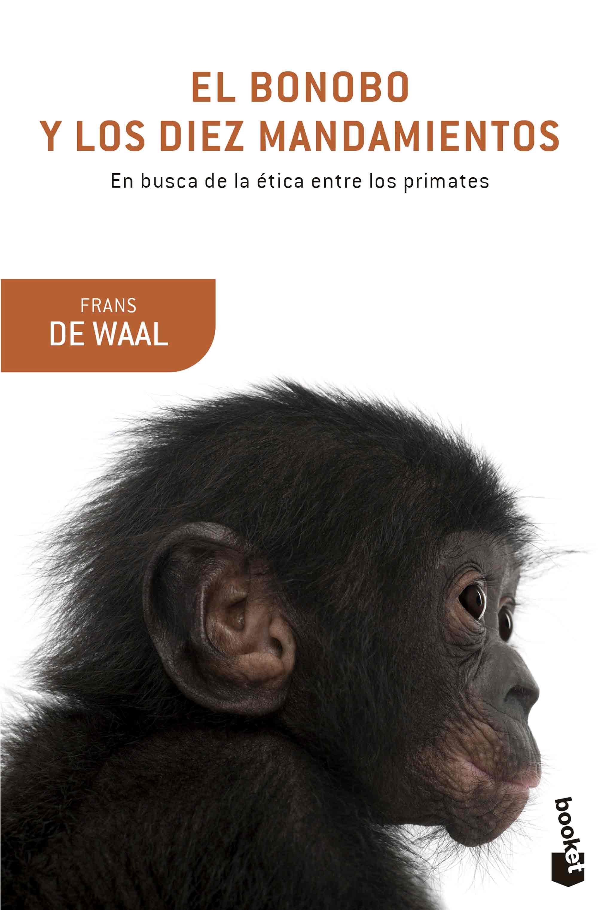 El bonobo y los diez mandamientos, , evolución