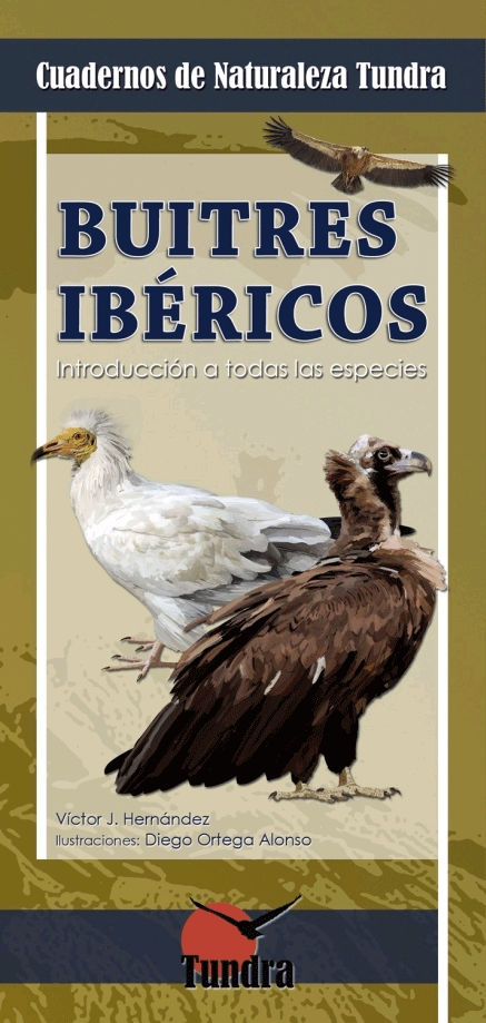 Buitres ibéricos, , zoología