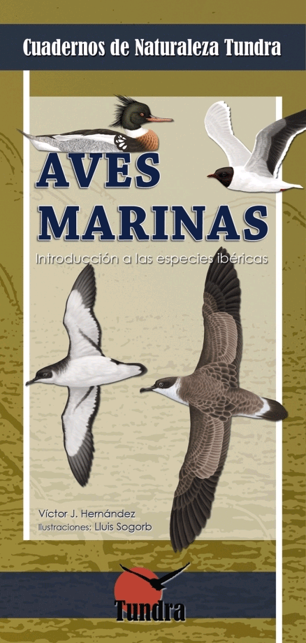 Aves marinas, , zoología