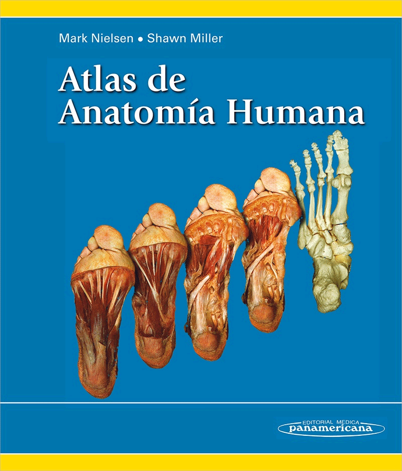 Atlas de anatomía humana, , anatomía