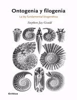 Ontogenia y filogenia. La ley fundamental biogenética., , biología