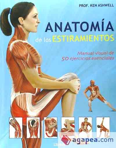 Anatomía de los estiramientos, , deporte | anatomía