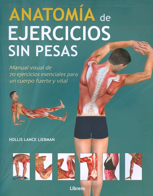 Anatomía de ejercicios sin pesas, , deporte | anatomía
